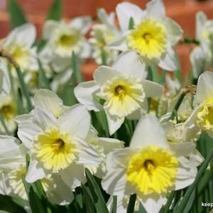 Meet your Posher, Judy